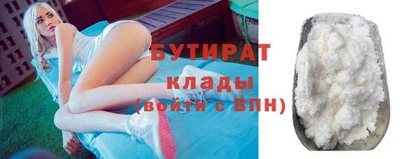 твердый Бородино