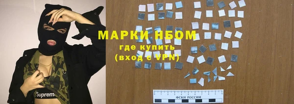 твердый Бородино