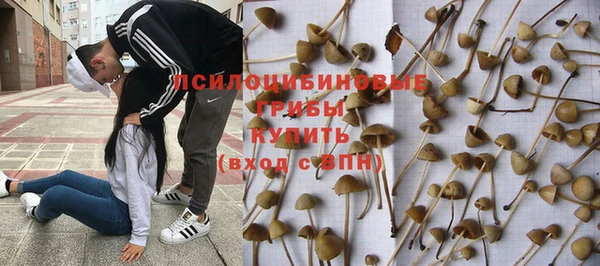 твердый Бородино