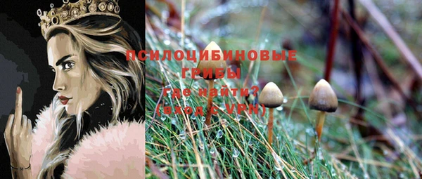 СК Бронницы