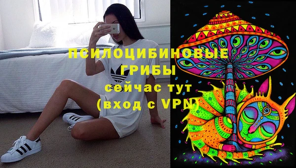 СК Бронницы
