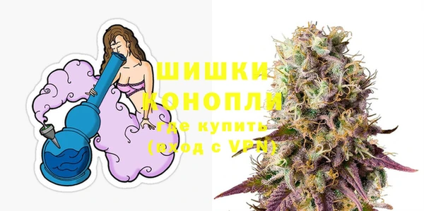 СК Бронницы