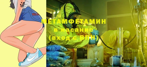 твердый Бородино