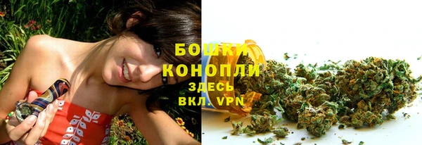 СК Бронницы